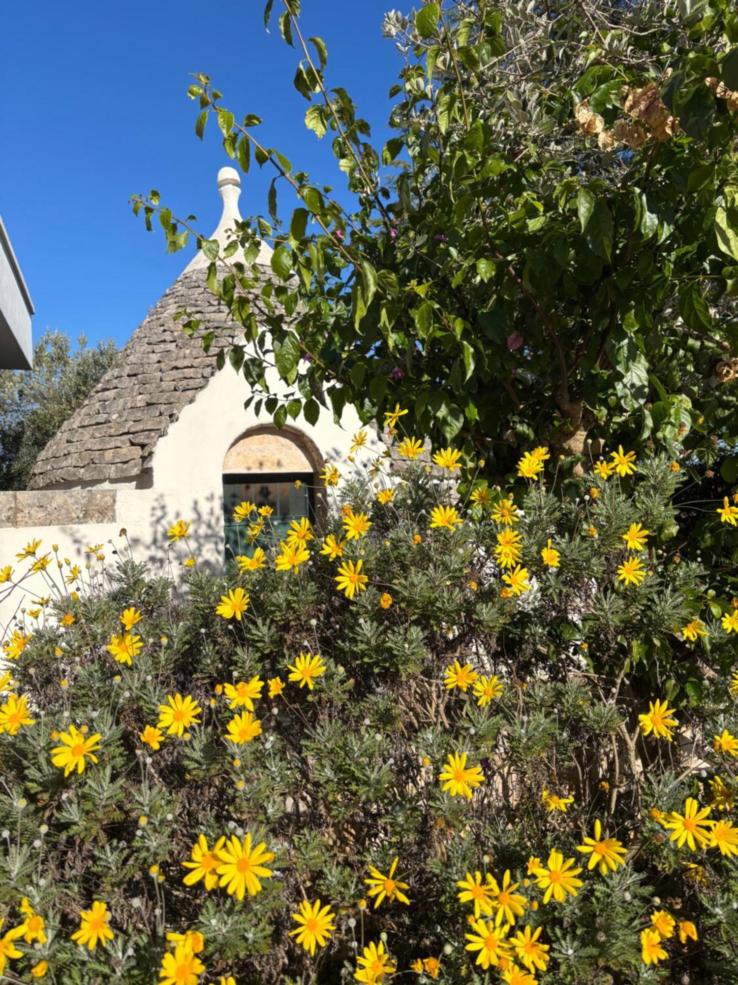 Viliino Lucia Holiday home